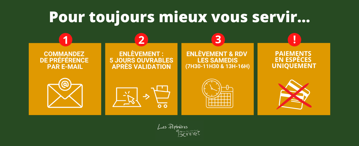 Bonnet Pour mieux vous servir... (1340 x 500 px) (1)